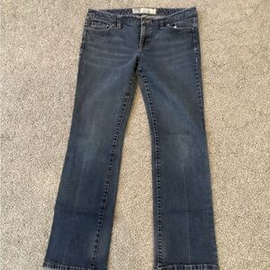 LOFT Dark Blue Straight Leg Jeans
